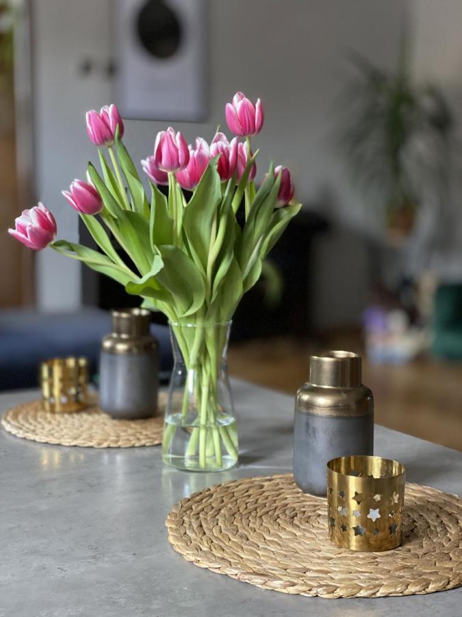 Milo Mi Apartment Karpacz Ngoại thất bức ảnh